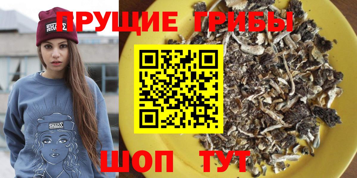 Псилоцибиновые грибы мухоморы Великий Новгород