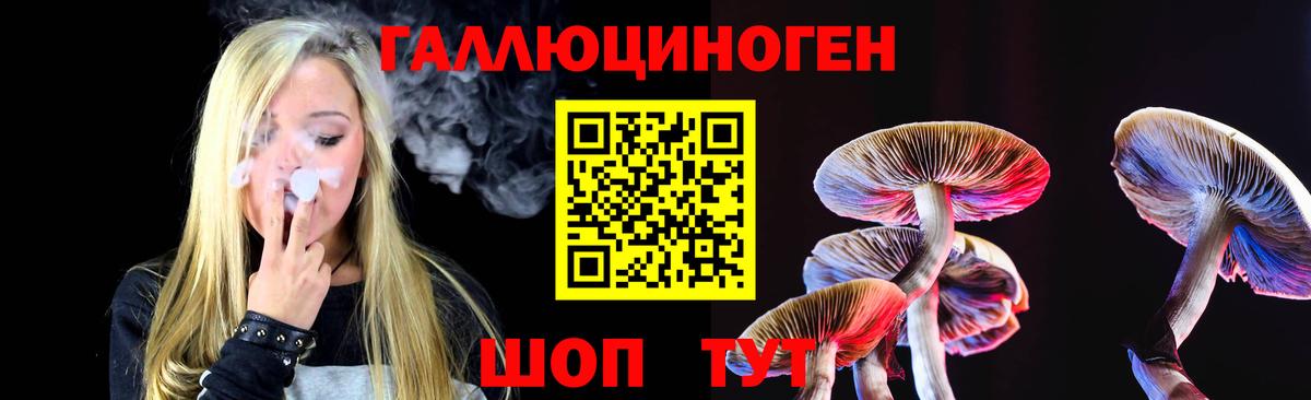Галлюциногенные грибы Psilocybe  Вход с VPN  Великий Новгород 
